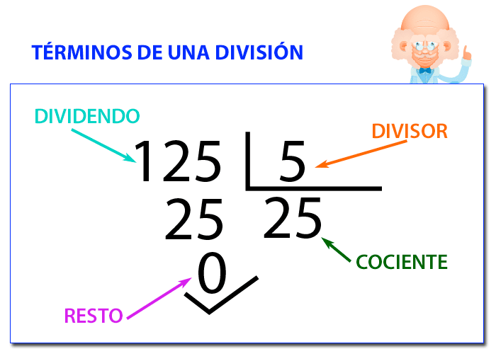 División